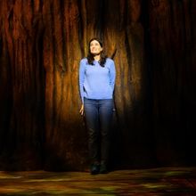 Review: REDWOOD at La Jolla Playhouse