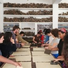 RISD and DirectCreate Join Forces For Cultural Collaboration in India