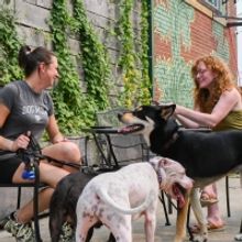 CRAFT HALL Unleashes Philly's Only Dog Park and Beer Garden