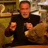 VIDEO: Arnold Schwarzenegger Posts Coronavirus Message With His Ponies