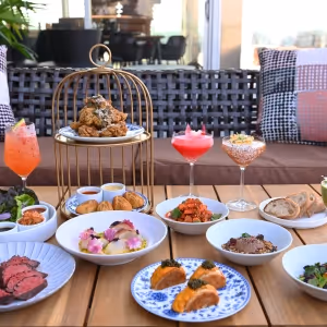 HUDSON VU Rooftop-Now Open