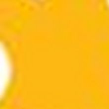 San Diego Junior Theatre Reveals New Artistic Director