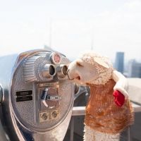 BWW Interview: Dr. Manuel Moran Talks International Puppet Fringe Festival