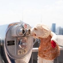 BWW Interview: Dr. Manuel Moran Talks International Puppet Fringe Festival