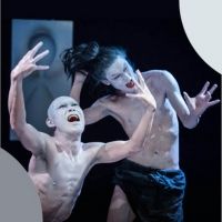 CONTEMPORARY DANCE FESTIVAL: JAPAN + EAST ASIA Announced At Japan Society