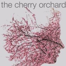 11 Minutes Theatre Company to Present THE CHERRY ORCHARD & VANYA AND SONIA AND MASHA 