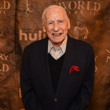 Mel Brooks Joins Voice Cast of THE LAND OF SOMETIMES Film