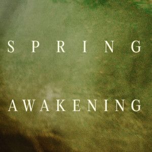 SPRING AWAKENING Off-Broadway Revival Extends Through April Video