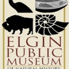 Check Out Chicago's Virtual Offerings