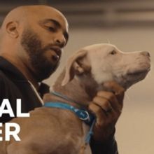 VIDEO: Watch the Official Trailer for CANINE INTERVENTION on Netflix