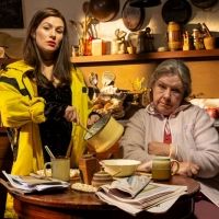 Casting Announced For STC's THE BEAUTY QUEEN OF LEENANE
