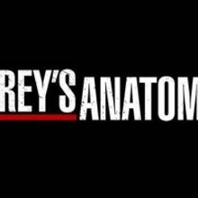 GREY'S ANATOMY Season 16 Cut Short; Final Episode to Air April 9