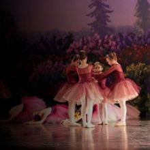 Ballet Theatre Of Phoenix Announces Summer Intensive And Fall Training Programs