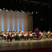 Carnegie Hall's LINK UP: THE ORCHESTRA SINGS Free Online Concert Now Available Interview