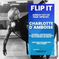 Jerry Mitchell, Sergio Trujillo and More Raise Over $10,000 Towards Flipping the…