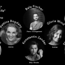 BWW Review: MUSICAL QUARANTINE DIARIES at AUSTRIA