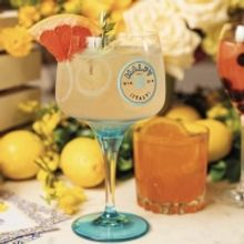 MALFY GIN For Warm Weather Cocktails