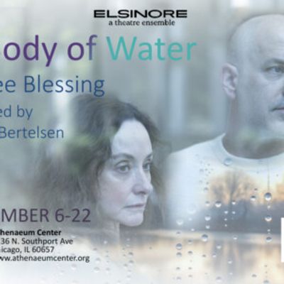 A BODY OF WATER to Open at Elsinore in Chicago