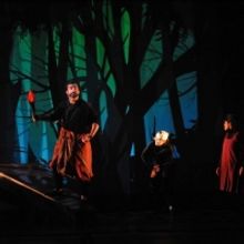 JUNGLE BOOK is Coming to Symphony Space in January