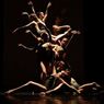 Dimensions Dance Theatre Of Miami Reveals 2026–2027 Season