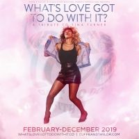 Celebration Of Tina Turner Comes to Worthing