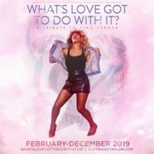 Celebration Of Tina Turner Comes to Worthing