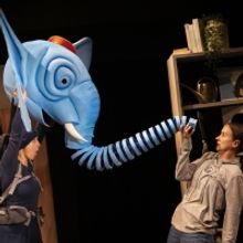 THE SLIGHTLY ANNOYING ELEPHANT Stomps into Coventry