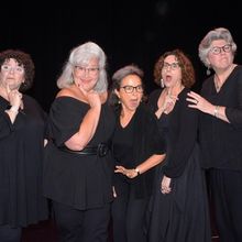 CONTROL TOP to Bring New Play by Carole Vasta Folley to Lost Nation Theater