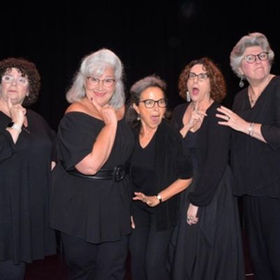 CONTROL TOP to Bring New Play by Carole Vasta Folley to Lost Nation Theater