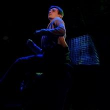 BWW Review: The Precise Compassion of THE CURIOUS INCIDENT OF THE DOG IN THE NIGHT-TI