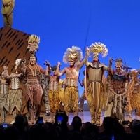 EL REY LEÓN celebra 10 años en la Gran Vía de Madrid