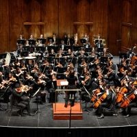 New Jersey Youth Symphony to End Season With Saint-Saëns' Organ Symphony Interview