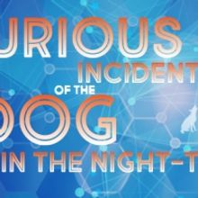 Manoa Valley Theatre Presents THE CURIOUS INCIDENT OF THE DOG IN THE NIGHT-TIME