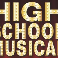 Review: HIGH SCHOOL MUSICAL ON STAGE at Dover Area High School