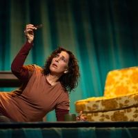 BWW Review: WATER BY THE SPOONFUL at SF Playhouse