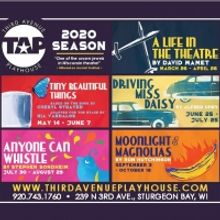 DRIVING MISS DAISY, ANYONE CAN WHISTLE and More Announced in Third Avenue Playhouse 2