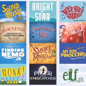 Artisan Productions Unveils 2024 Season Featuring BRIGHT STAR, BYE BYE BIRDIE & More