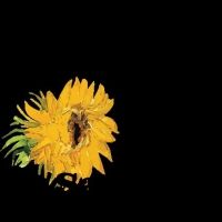 IMMERSIVE VAN GOGH To Make Its West Coast Premiere At San Francisco's SVN West