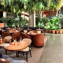 Review: POPULAR Serves Authentic Peruvian Cuisine in a Lush Setting