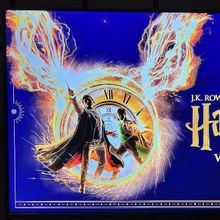 Review: HARRY POTTER UND DAS VERWUNSCHENE KIND at Mehr! Theater Am Großmarkt In Hamb