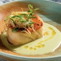 MOLLUSCA Opens in The Meatpacking District
