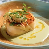 MOLLUSCA Opens in The Meatpacking District
