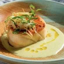 MOLLUSCA Opens in The Meatpacking District