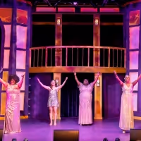 BWW Review: WOMEN OF SOUL at Mercury Theater Chicago