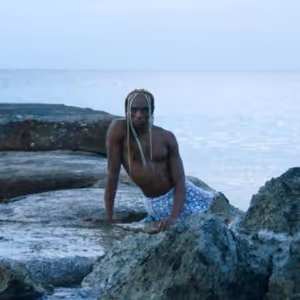 South Street Seaport Museum to Present Free Film Screening of NOTES ON A SIREN &…