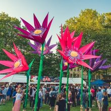 St Albans Comedy Garden to Return in July With Harry Hill, Ross Noble & More