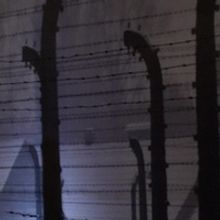 BWW Feature: AUSCHWITZ - NOT LONG AGO - NOT FAR AWAY at Union Station