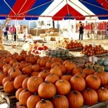 Mr. Jack O'Lanterns Pumpkin Patch To Open Amidst Coronavirus Pandemic