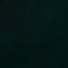 BWW Review: THE ARRIVAL, Bush Theatre