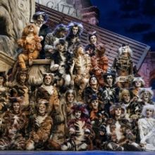 Review: CATS al Teatro Sistina